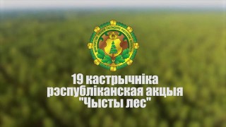 Заставка видео Чистый лес 2019